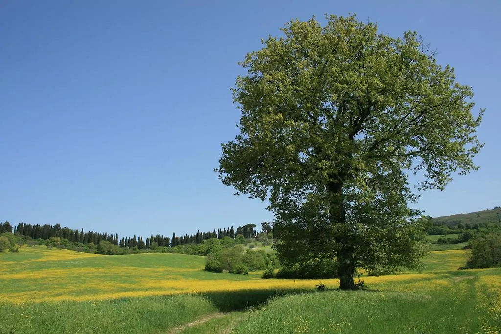 Florence Country Residence Vaglia  Italië